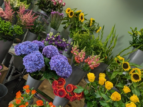 Nicola Chooses For You