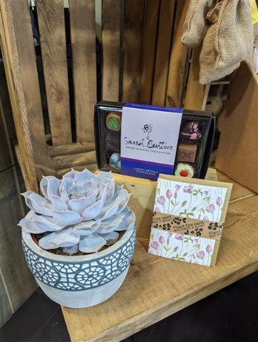 My Plant and Giftset Collection