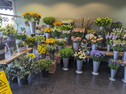 My Subscription Collection